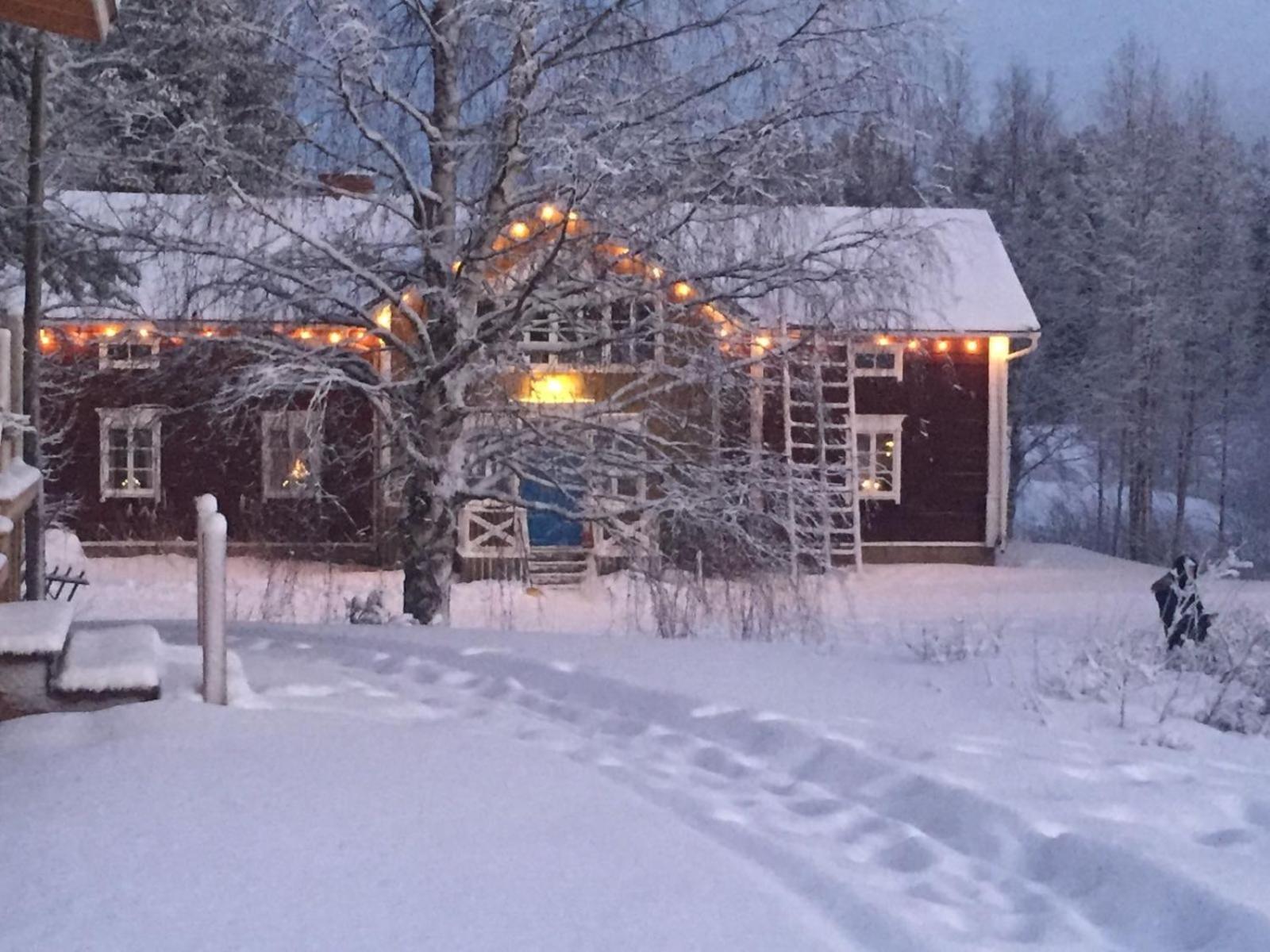 Korvala Log Cabins 외부 사진